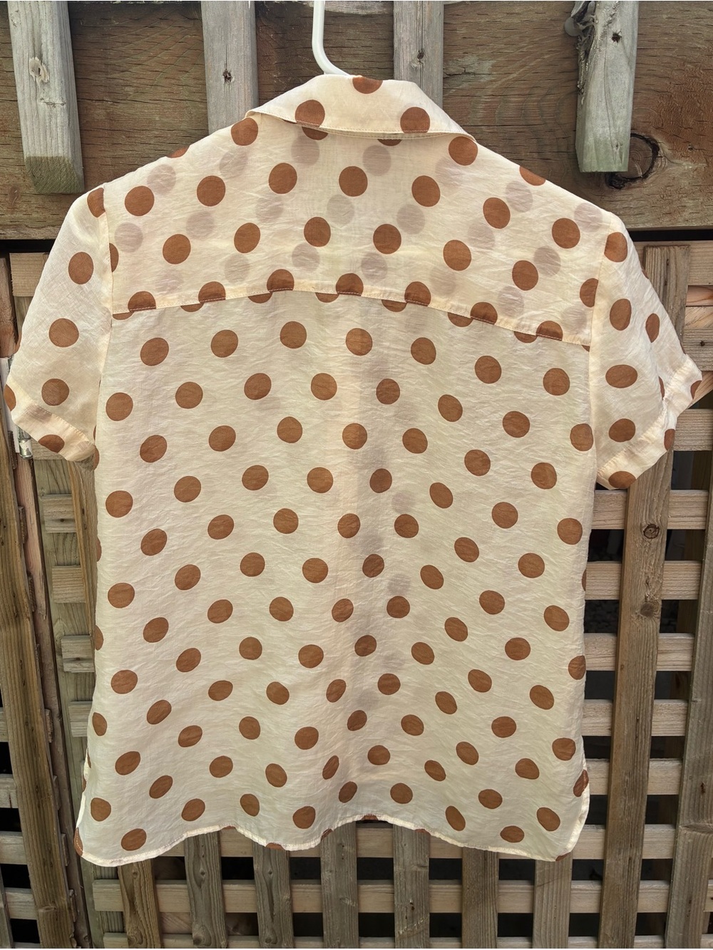 CAbi Cream and Brown Polka Dot Short Sleeve Button-Down - Picture 4 of 5